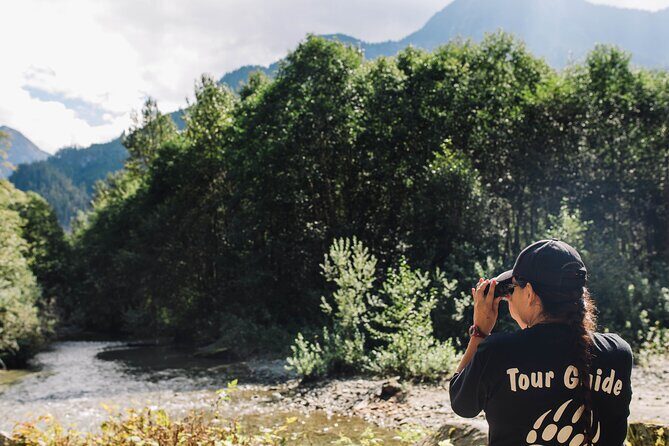 Great Bears of Bute: Grizzly Bear Viewing & Indigenous Cultural Tour - Wildlife Beyond Grizzlies: What You Might Spot