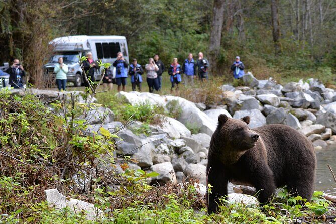 Great Bears of Bute: Grizzly Bear Viewing & Indigenous Cultural Tour - Orford Bay: Grizzly Country on Homalco Land