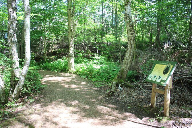 Green Gables House & Our Island Experience - Price and Value: Is $89.39 Worth It?