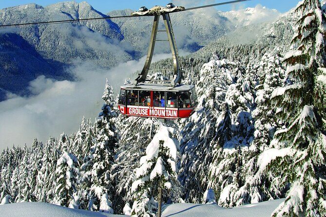 Grouse Mountain Admission Ticket - Grouse Mountain from Vancouver: a quick half-day escape that actually fits