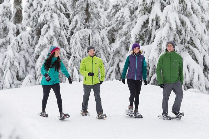 Grouse Mountain Admission Ticket - What you can add (and what costs extra)