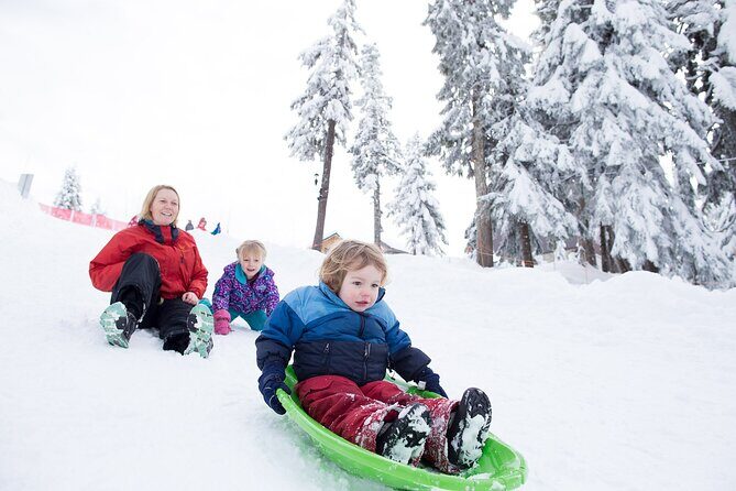 Grouse Mountain Admission Ticket - Itinerary reality: how to pace your 2 to 4 hours