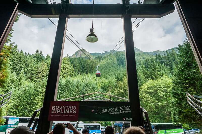 Grouse Mountain, Capilano Bridge & Fish Hatchery Tour - Key highlights worth marking