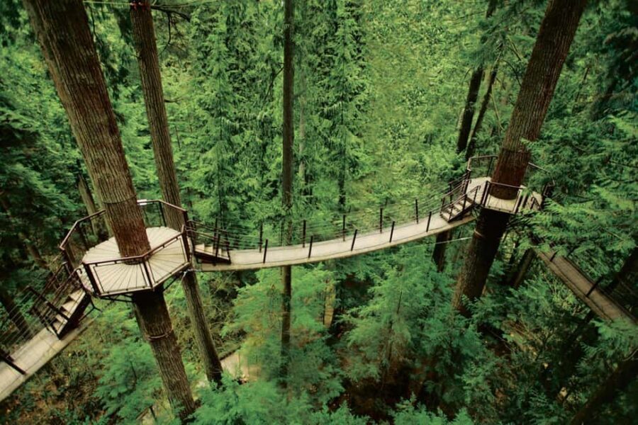 Grouse Mountain, Capilano Bridge & Fish Hatchery Tour - Should you book the Grouse Mountain, Capilano Bridge & Fish Hatchery Tour?