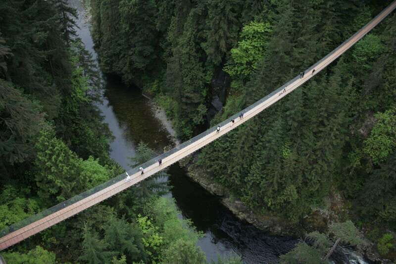 Grouse Mountain, Capilano Bridge & Fish Hatchery Tour - How the timing feels in real life (not just on paper)