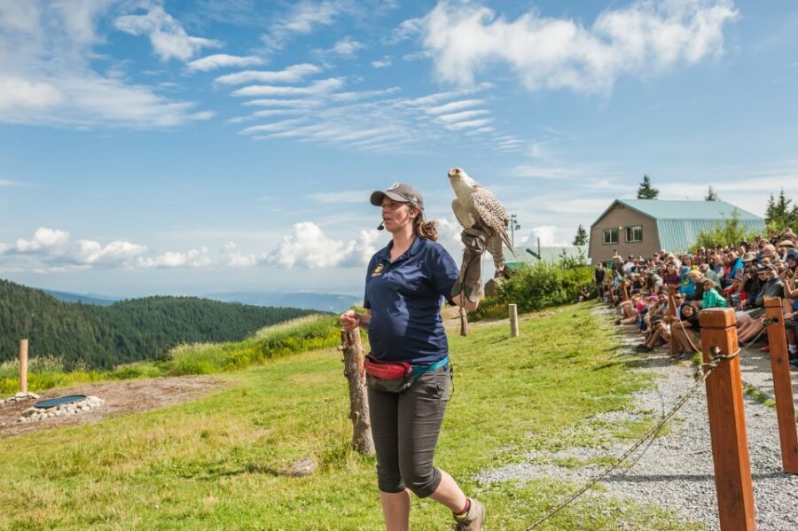 Grouse Mountain, Capilano Bridge & Fish Hatchery Tour - Price and value: is $192 per person actually fair?