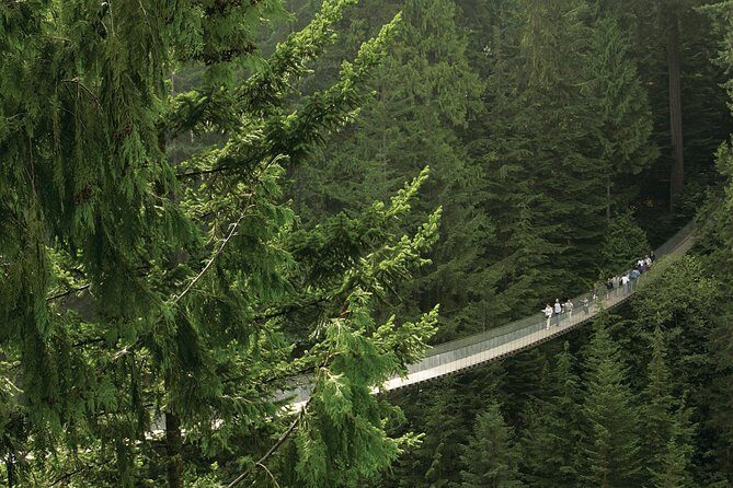 Grouse Mountain & Capilano Bridge Tour with Fish Hatchery - A One-Day Hit of Forest Walks and Mountain Views