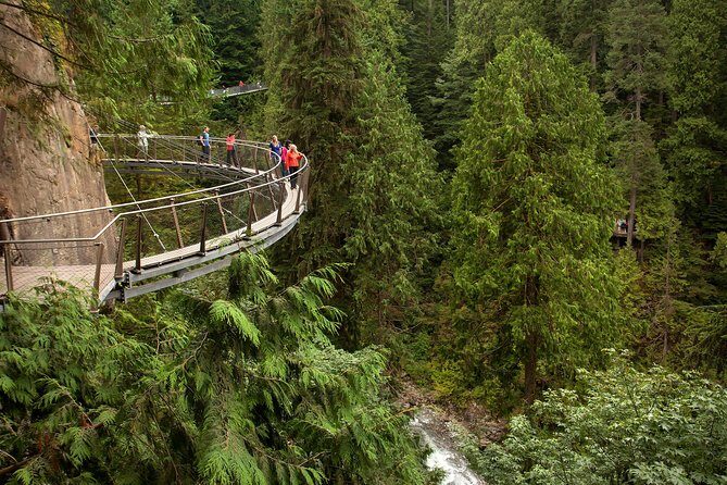 Grouse Mountain & Capilano Bridge Tour with Fish Hatchery - Capilano Suspension Bridge Park: what makes it worth the hype