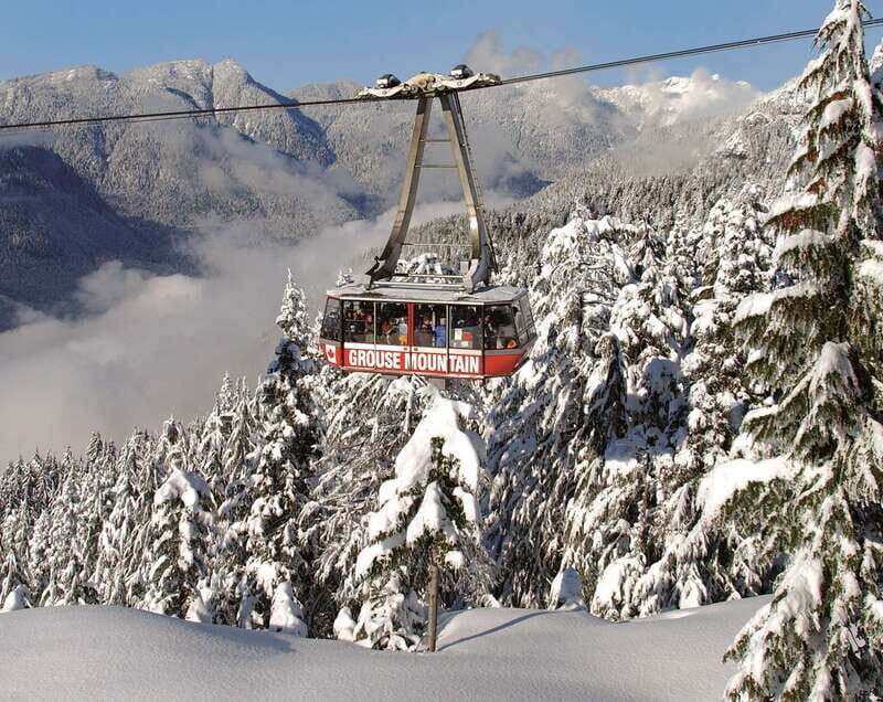 Grouse Mountain Skyride Admission Ticket - Summer at the Peak: grizzlies, eco-walks, and bird shows