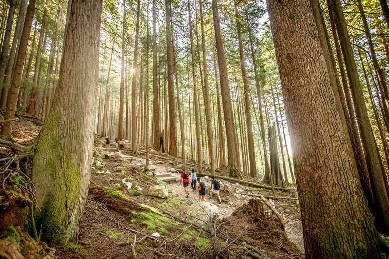 Grouse Mountain Skyride Admission Ticket - Price and value: is $64 per person a smart use of a Vancouver day?