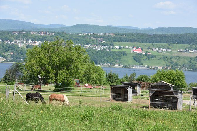 Half-Day Trip to Montmorency Falls and Ste-Anne-de-Beaupré from Quebec city - Albert Gilles Copper Art & Museum: short stop, real craft details