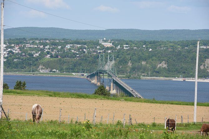 Half-Day Trip to Montmorency Falls and Ste-Anne-de-Beaupré from Quebec city - Île d’Orléans: the short drive that breaks up the day