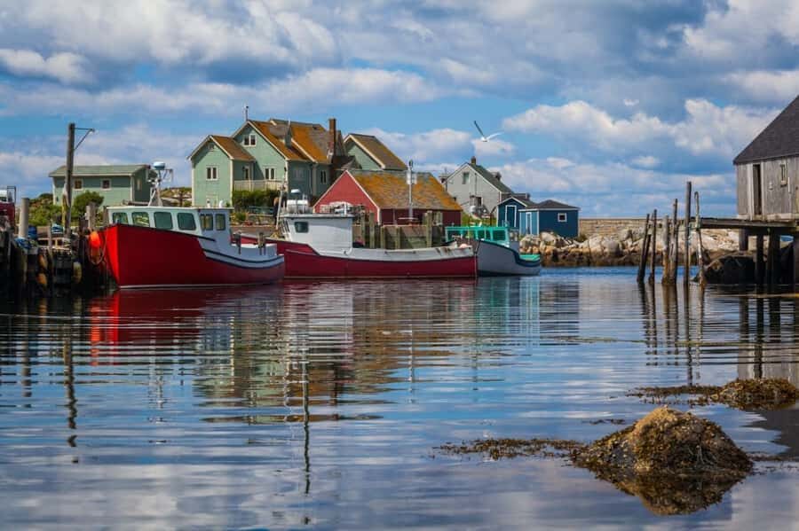 Halifax Small-Group Express Peggy’s Cove Tour - Who This Tour Fits Best (And Who Might Want Another Option)