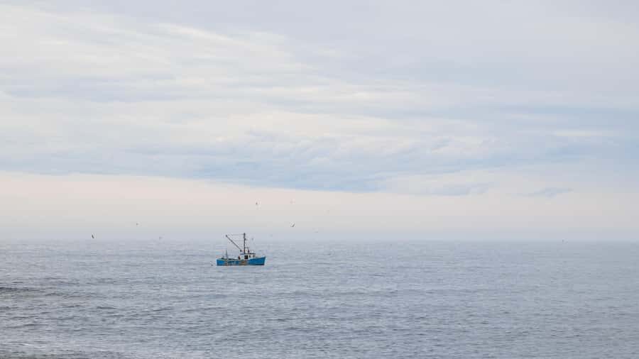 Halifax Small-Group Express To Peggy’s Cove - Price and Value: Why $79 Can Make Sense for This Route