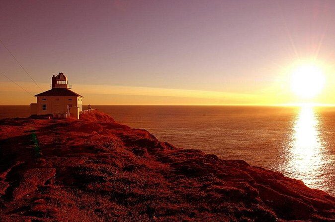 Historic St. John's Newfoundland and Cape Spear Tour - Guide style and group size: what the best afternoons get right