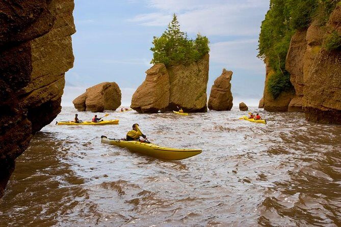 Hopewell Rocks Admission - Entering Hopewell Rocks: your day starts with tides, not tickets