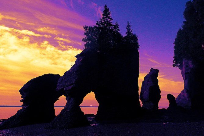 Hopewell Rocks Admission - Family-friendly setup: kids can handle this with the right pacing