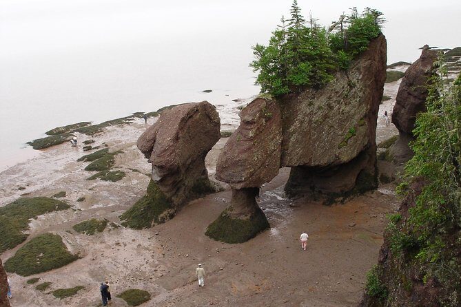 Hopewell Rocks Admission - Coming back for high tide: why the two-day pass is the smart play