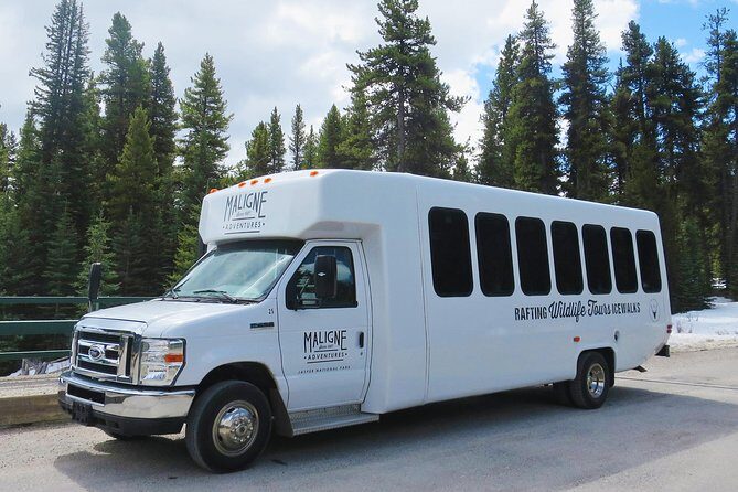 Jasper Evening Wildlife Tour - On the minibus with real guides: what the live commentary does