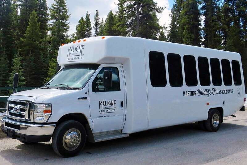 Jasper National Park: Evening or Morning Wildlife Watch Tour - Wildlife Education That Doesn’t Feel Like a Lecture