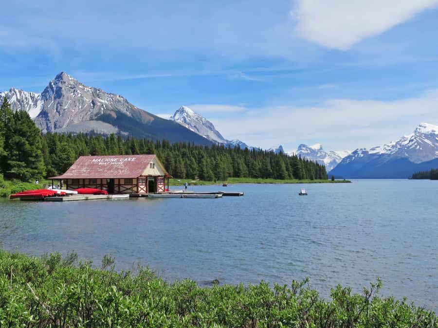 Jasper: Wildlife and Sightseeing Tour with Lakeshore Hike - Price and Value: Why $79 Can Make Sense in Jasper