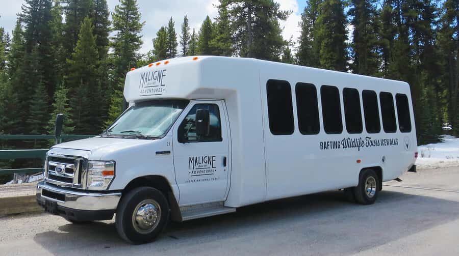 Jasper: Wildlife and Waterfalls Tour with Lakeshore Hike - Key Points That Matter Before You Go