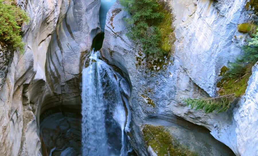 Jasper: Wildlife and Waterfalls Tour with Lakeshore Hike - Pickup, Timing, and Where You Should Stand