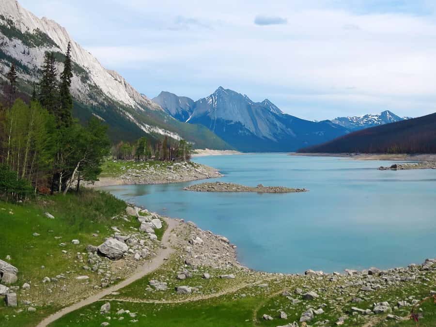 Jasper: Wildlife and Waterfalls Tour with Lakeshore Hike - The Wildlife Game: How the Stops Help You See More