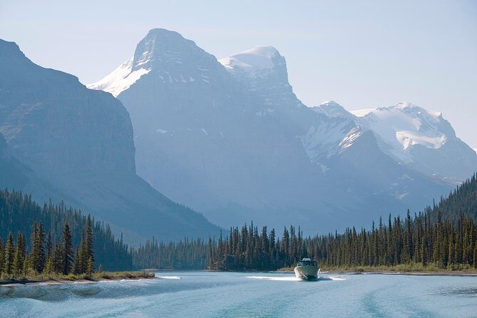 Jasper Wildlife & Sightseeing Tour with Maligne Lake Cruise - Wildlife spotting: how your guide turns driving into chances