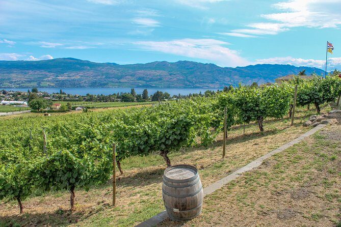 Kelowna or West Kelowna Afternoon Sightseeing Wine Tour - Value check: is $239.57 per person a fair deal?