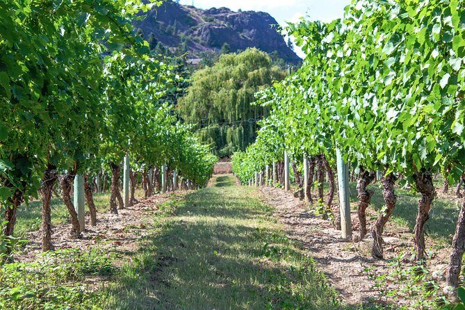 Kelowna or West Kelowna Afternoon Sightseeing Wine Tour - Practical tips for tasting smarter (and buying better)