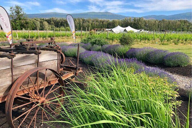 Kelowna Wine Tour by E-bike, Okanagan Valley Views and Lunch - Key things to know before you ride