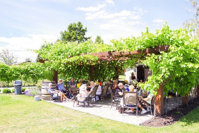 Kelowna Wine Tour by E-bike, Okanagan Valley Views and Lunch - Why this Kelowna e-bike wine tour feels different from a bus