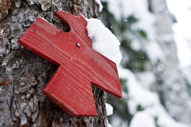 Medicine Trail Snowshoe Tour - Medicine Trail snowshoeing: what makes it feel special in Whistler