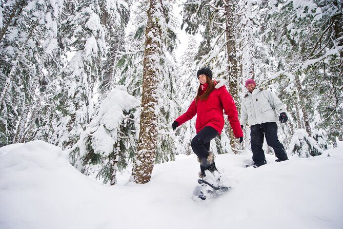 Medicine Trail Snowshoe Tour - Getting there: Carlton Lodge check-in and the shuttle to Callaghan Valley