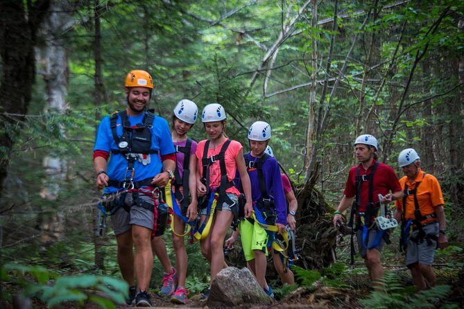Mont Tremblant Guided Zipline Tour - Morning vs afternoon: choose based on how you handle weather and nerves