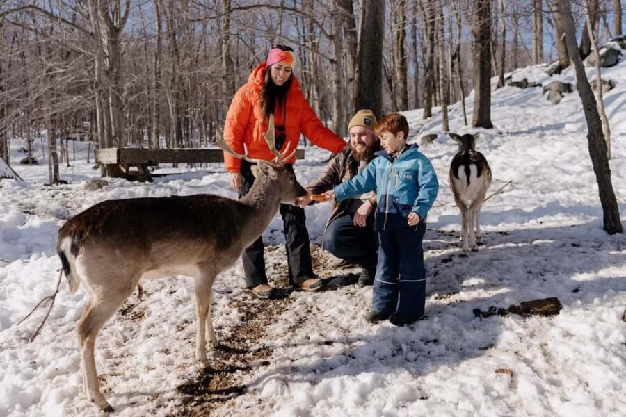 Montebello, QC: General Admission to Parc Omega - A 12 km car safari near Montebello, Quebec