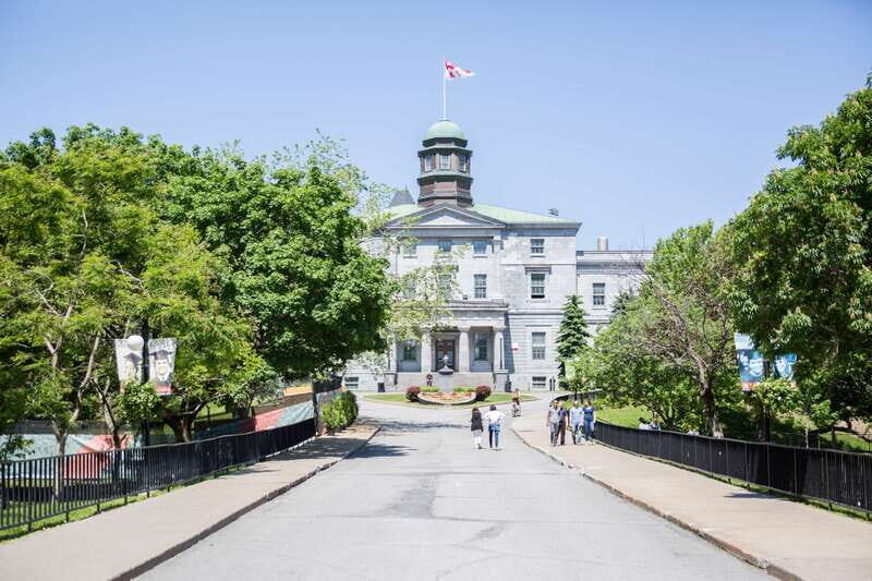 Montreal: Guided Bike Tour of City, Old Port & Plateau - Why Montreal Feels Made for Pedals