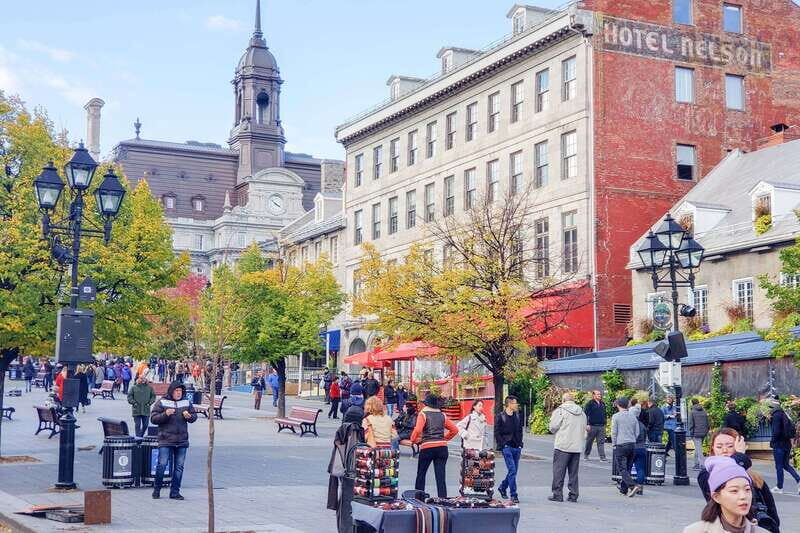 Montreal: Guided Bus Tour - Price and Value: Why $26 Can Be a Smart First-Day Move
