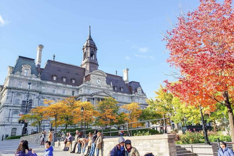 Montreal: Guided Bus Tour - Chinatown, Place des Arts, and Place Ville Marie: How Montreal Works in Real Life