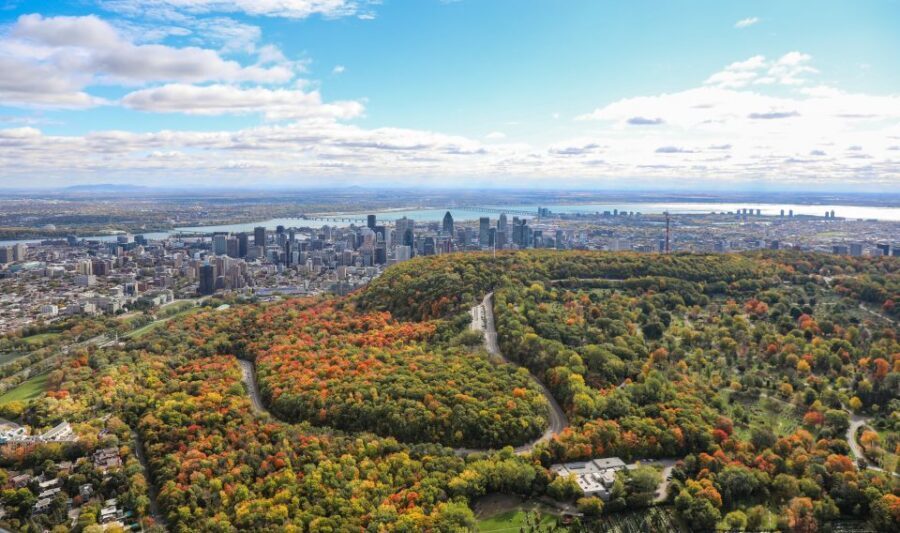 Montreal: Guided Helicopter Tour - Who Should Book It (and Who Should Skip It)