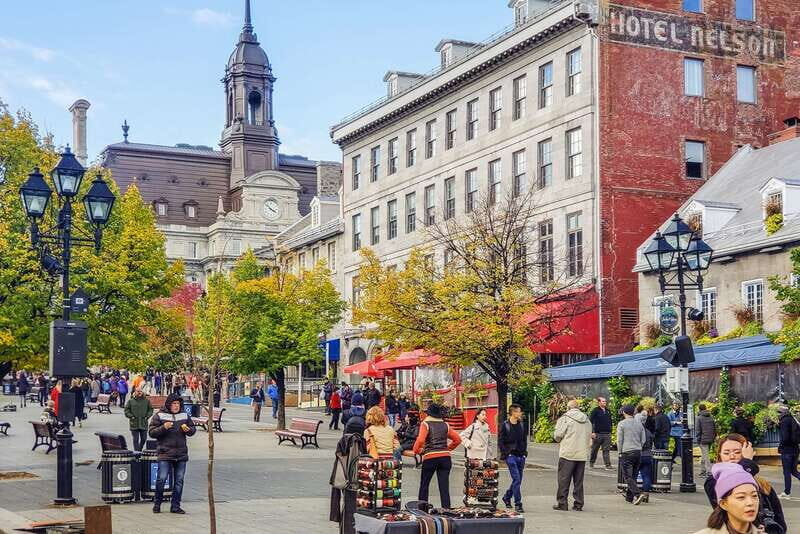 Montreal: Hop-On Hop-Off Double-Decker Bus Tour - Who should book this hop-on hop-off (and who might not)