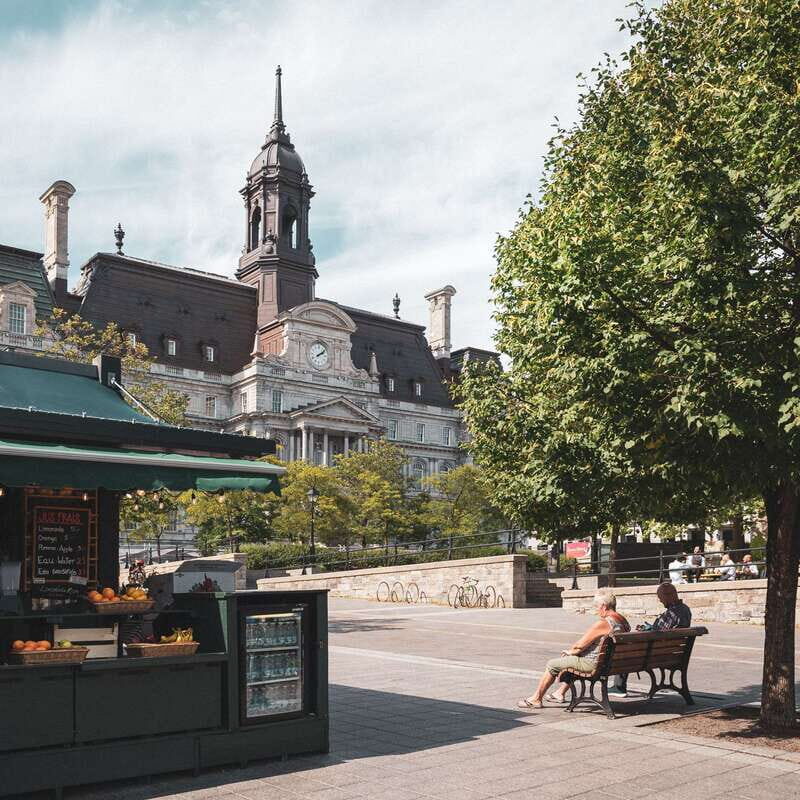 Montreal: Old Montreal Guided Walking Tour - Saint Lawrence River views: getting perspective without a long detour