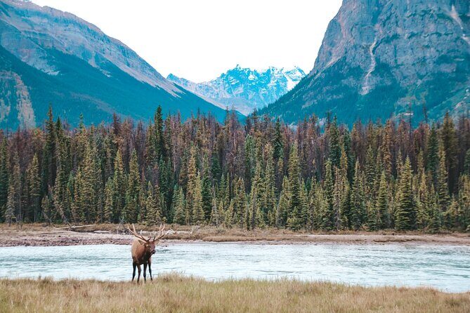 Moraine Lake, Lake Louise & Banff Secrets | Award-Winning Tour - Lake Louise: expedited entry and a full, worthwhile visit