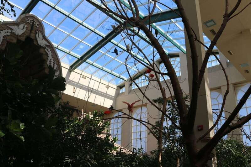 Niagara Falls, Canada: Bird Kingdom Entry Ticket - Bird Kingdom in Niagara: a multi-level indoor aviary you can do any time