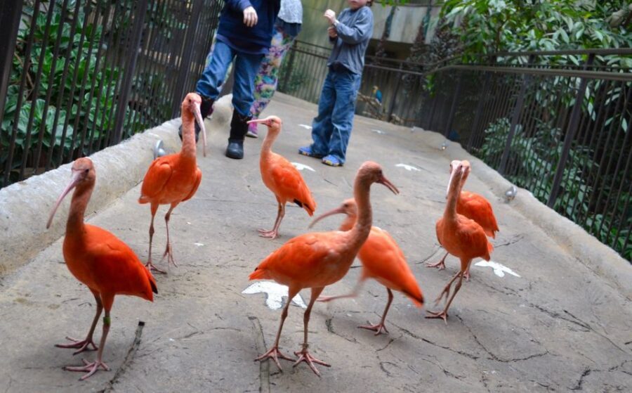 Niagara Falls, Canada: Bird Kingdom Entry Ticket - Price and value: does $18 buy enough?