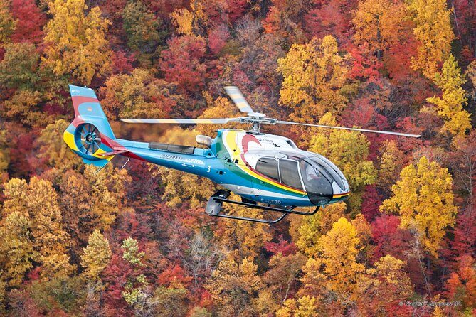Niagara Falls Canada Helicopter Tour - Safety, organization, and the weather reality over Niagara