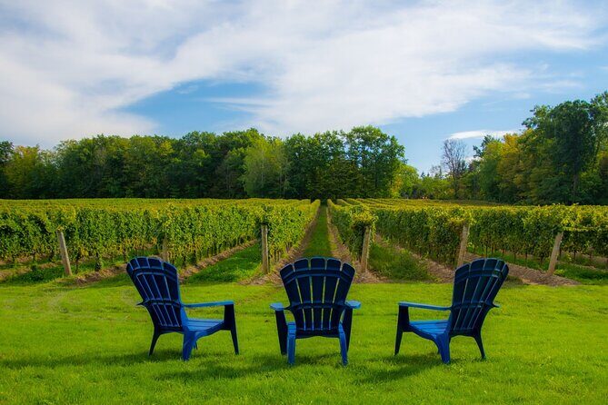 Niagara Falls Day Tour from Toronto (9 Hours) - Skip-the-Line Niagara Cruise or Journey Behind the Falls (Season Matters)