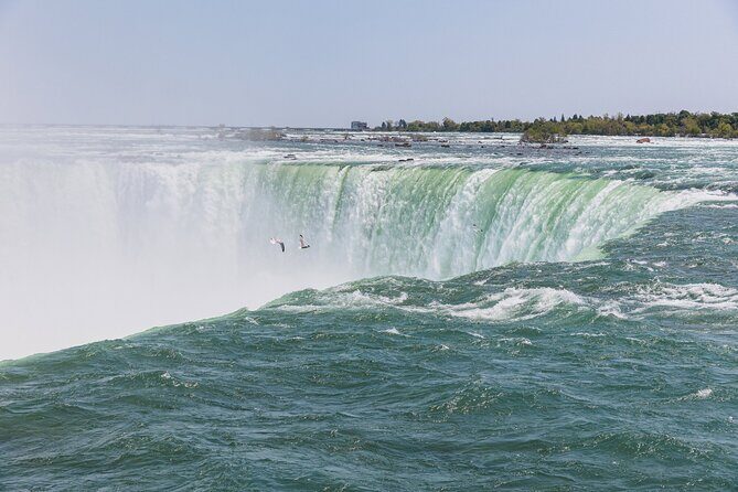 Niagara Underground Tour: Power Station and Tunnel Under Falls - Nikola Tesla to Horseshoe Falls: The Inspiration Behind Hydropower