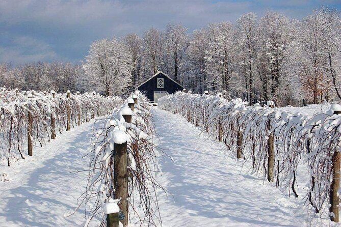 Niagara Wine Tour and Tastings with Transportation - Lunch at Farmhouse Cafe: the stop is free, the meal isn’t